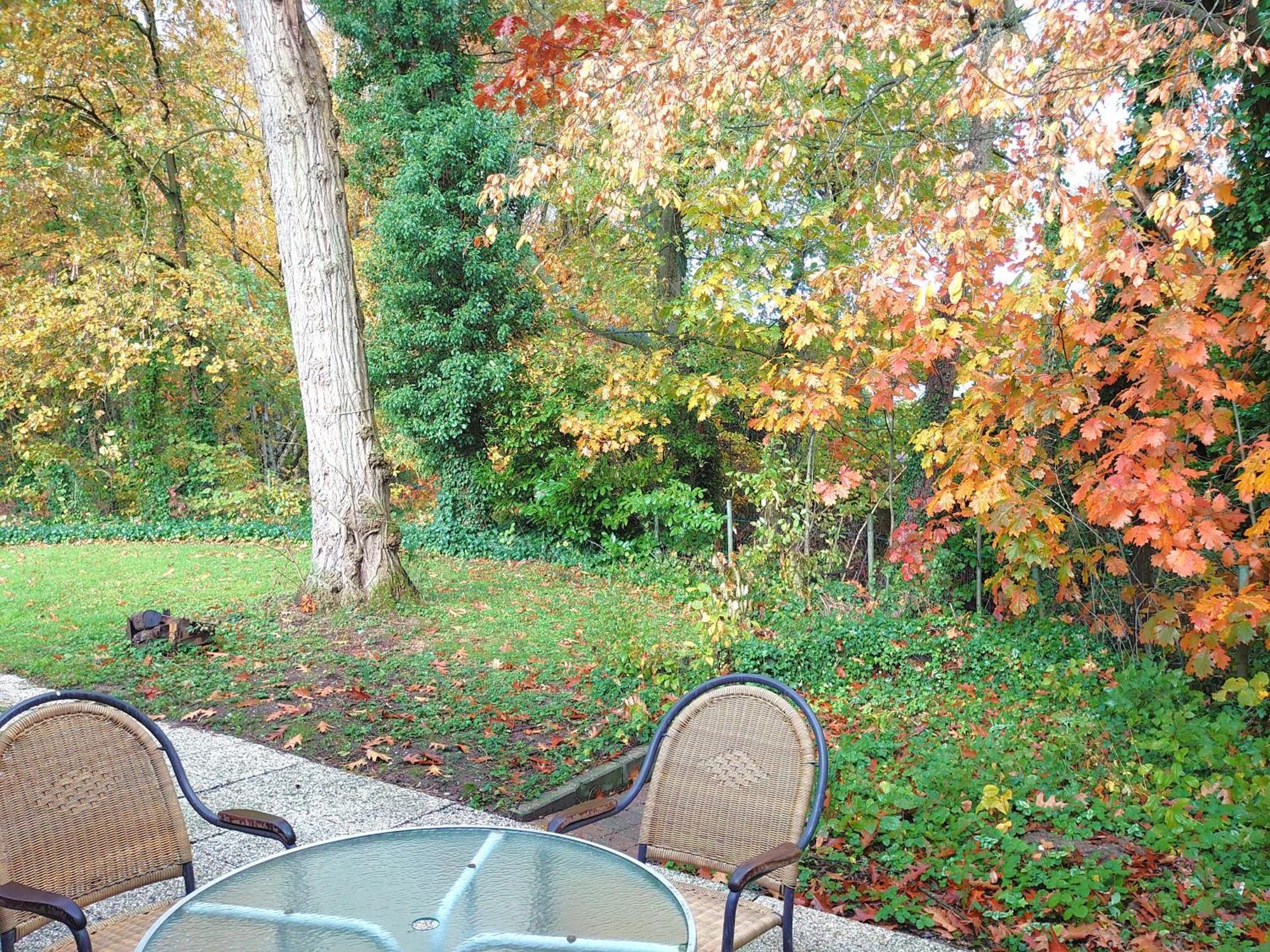 Vrijstaande Vakantiebungalow Met Optimale Privacy!! Rekem Luaran gambar